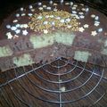 Gâteau damier chocolat/pistache