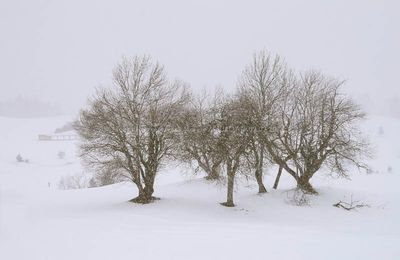 L'ivresse des montagnes