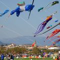 Festival international des cerf-volants