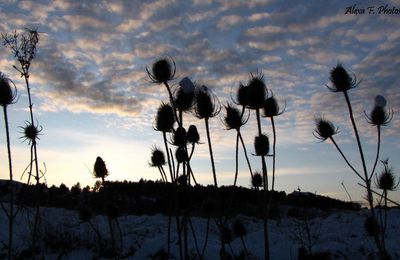 To see a world in a grain of sand, and a heaven in a wildflower... hold infinity in the palm of your hand. W. Blake