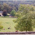 Parenthèse normande... Escapade à pas de mules !