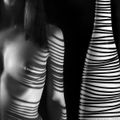 la pureté du design