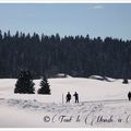 La balade du dimanche : les Monts du Jura depuis le plateau des Hautes Combes