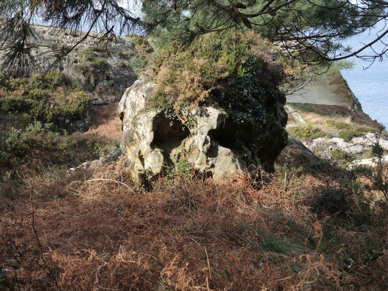 Vallée des couleurs, sortie de forêt, tête de mort. (Espagne)