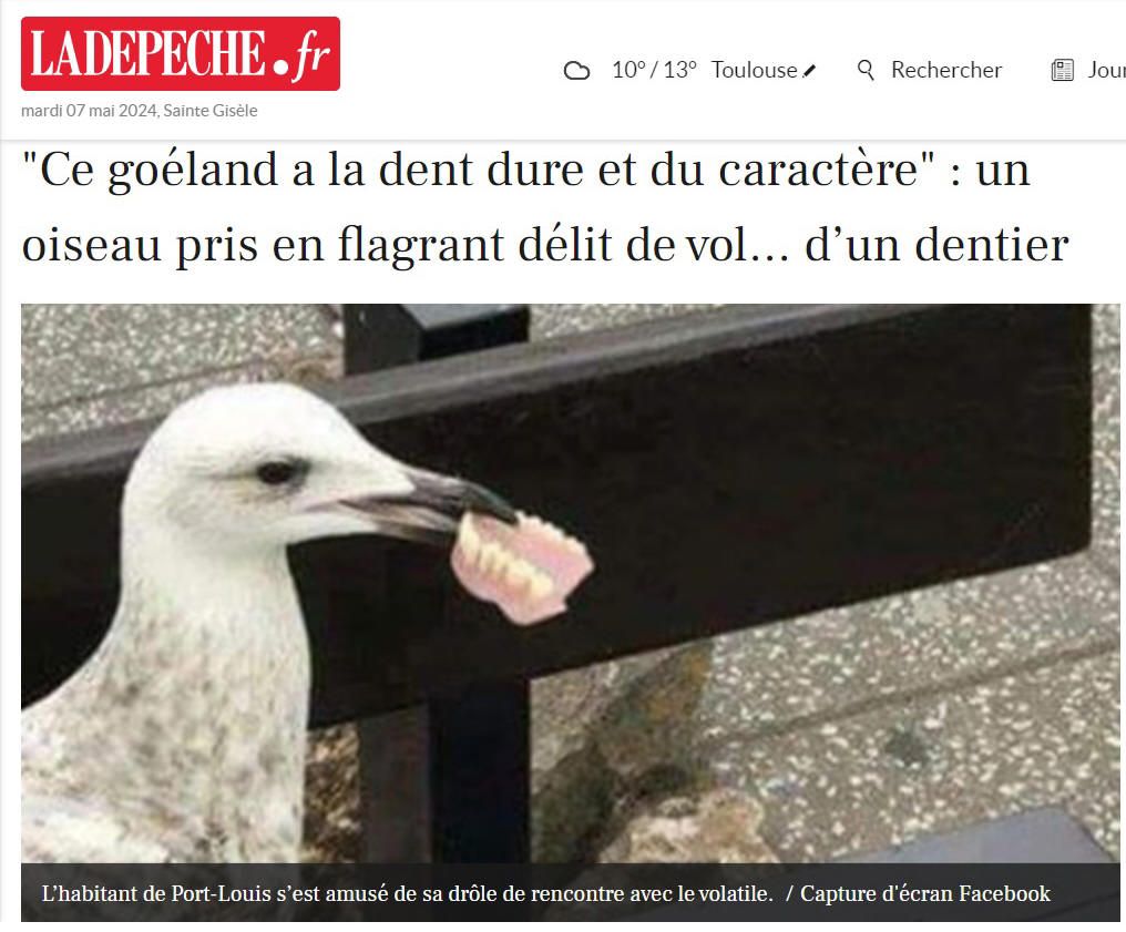 Il a la dent dure