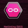 Netlinking : une stratégie marketing proposée par SEDECO !