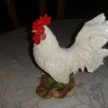 J'avais oubliée de vous montrer le beau coq,que