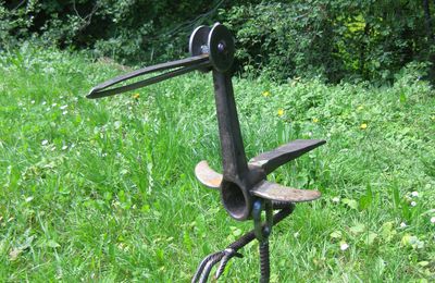 Une aigrette dans le gazon