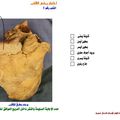 اختبار يخص القلب