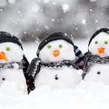 Le Trio de BDN de Marissa