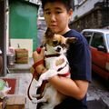 Un homme et son chien (à HK)