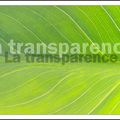 Quinzaine du 25 Avril au 8 Mai - Thème de la transparence