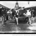 L'humeur de Barreau: quelques nouvelles du PLOUKISTAN normand. Les horsains aiment la Normandie: C'est au moins ça!