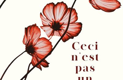 Ceci n’est pas un fait divers de Philippe Besson