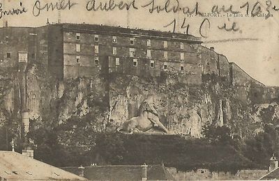 Correspondance croisée - A la recherche d'Omer, suite