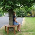 DIY : Réaliser soi-même un banc tout autour d'un arbre