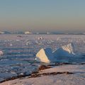 Invasion des glaces la suite...