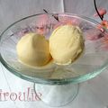 Glace onctueuse à la vanille : 2 recettes testées, Gaston Lenôtre et Pierre Hermé