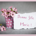 BONNE FETE MARIE !