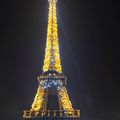 Bravo pour l'illumination de la Dame de Fer avec ses 20000 ampoules 5 minutes toutes les heures !!!