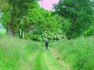 LE SENTIER DES DOUANIERS