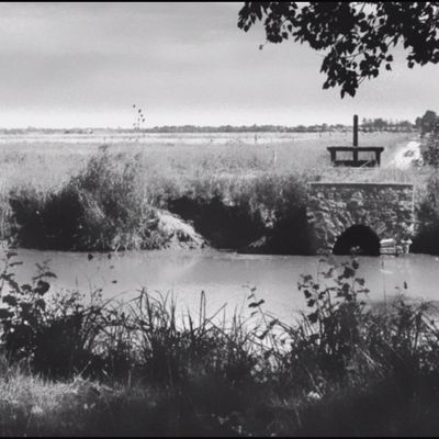  PUBLICATION : LA NAISSANCE DE LA POINTE D’ARCAY 