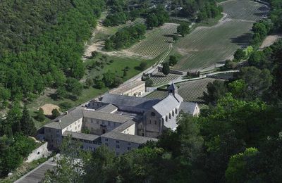 Abbaye de Sénanque ( Vaucluse)