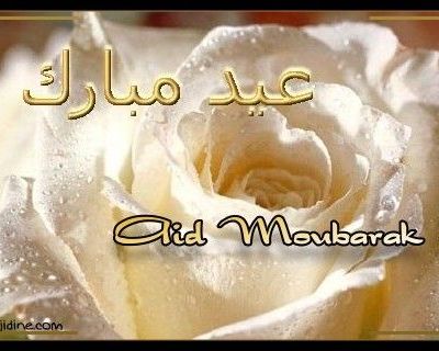 AID MOUBARAK