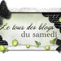 Le tour des blogs du samedi ¤1¤