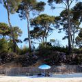 Nos vacances dans le sud/carnet d'adresses: LES PLAGES