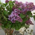 Lilas