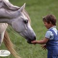 Nos amis les chevaux