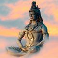 Shiva Shambo