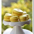 Macarons yuzu citron vert 