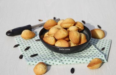 MADELEINES A LA FEVE TONKA