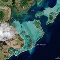 Marée noire à Maurice : plus d'efforts nécessaires pour sauver les récifs coralliens - more effort is needed to save coral reefs