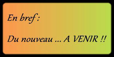 En bref !