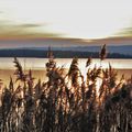 Balade au lac de Madine (Lorraine) le 28 décembre entre 16h et 17h15