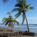 Le Costa Rica : La côte pacifique