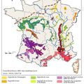 Carte de vins de France