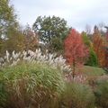 LE JARDIN DU BOIS MARQUIS...