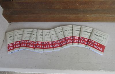 Folie ! les mots à Faux-la-Montagne le 30 juillet 2024 (1)