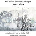 Prochaine exposition "MYCORHIZES" MD BIDARD et Philippe DOMERGUE