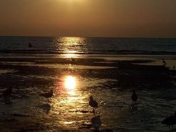 Les plages de sable, de galets, le soleil couchant....