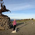 Col du Ballon d'Alsace