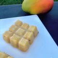 GATEAU SANS SUCRE ET SANS BEURRE A LA MANGUE