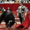 LA VILLE DE BAYONNE PRÉSERVE L'ESPRIT DE LA FÊTE : TOUS AUX ARÈNES ! RÉSISTONS !