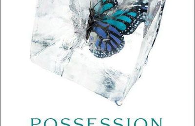 Possession, Elana Johnson