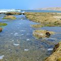 MES CHERS INCONNUS DE LA PLAGE