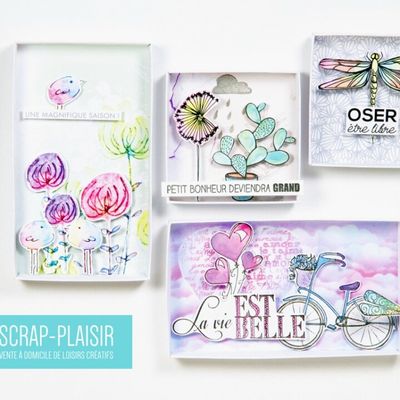 {Scrap Plaisir} Les nouveautés du mois de février !